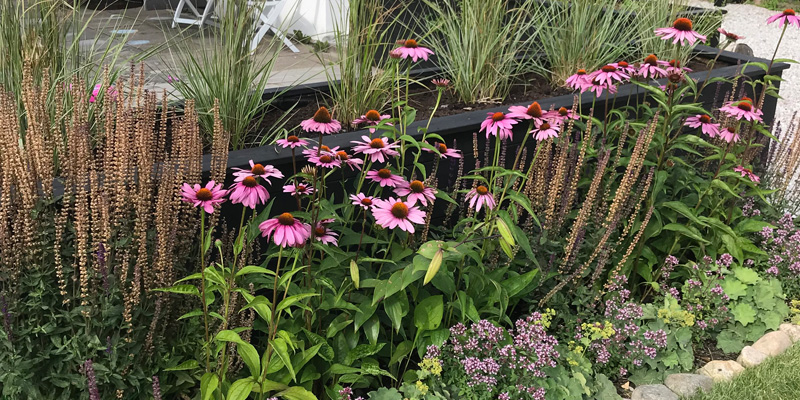 Trädgårdsrådgivning