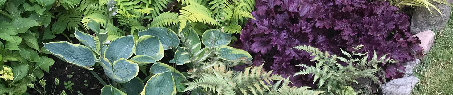 Bli inspirerad av en vacker trädgård!